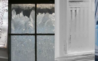 Common Residential Window Problems